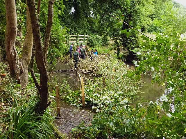 Funges meadow volunteers