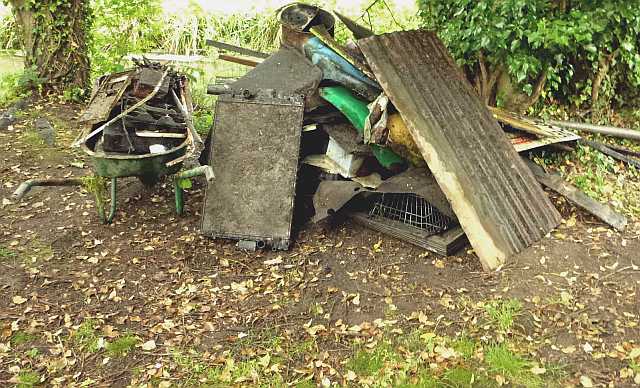 Wye Dene river clearance